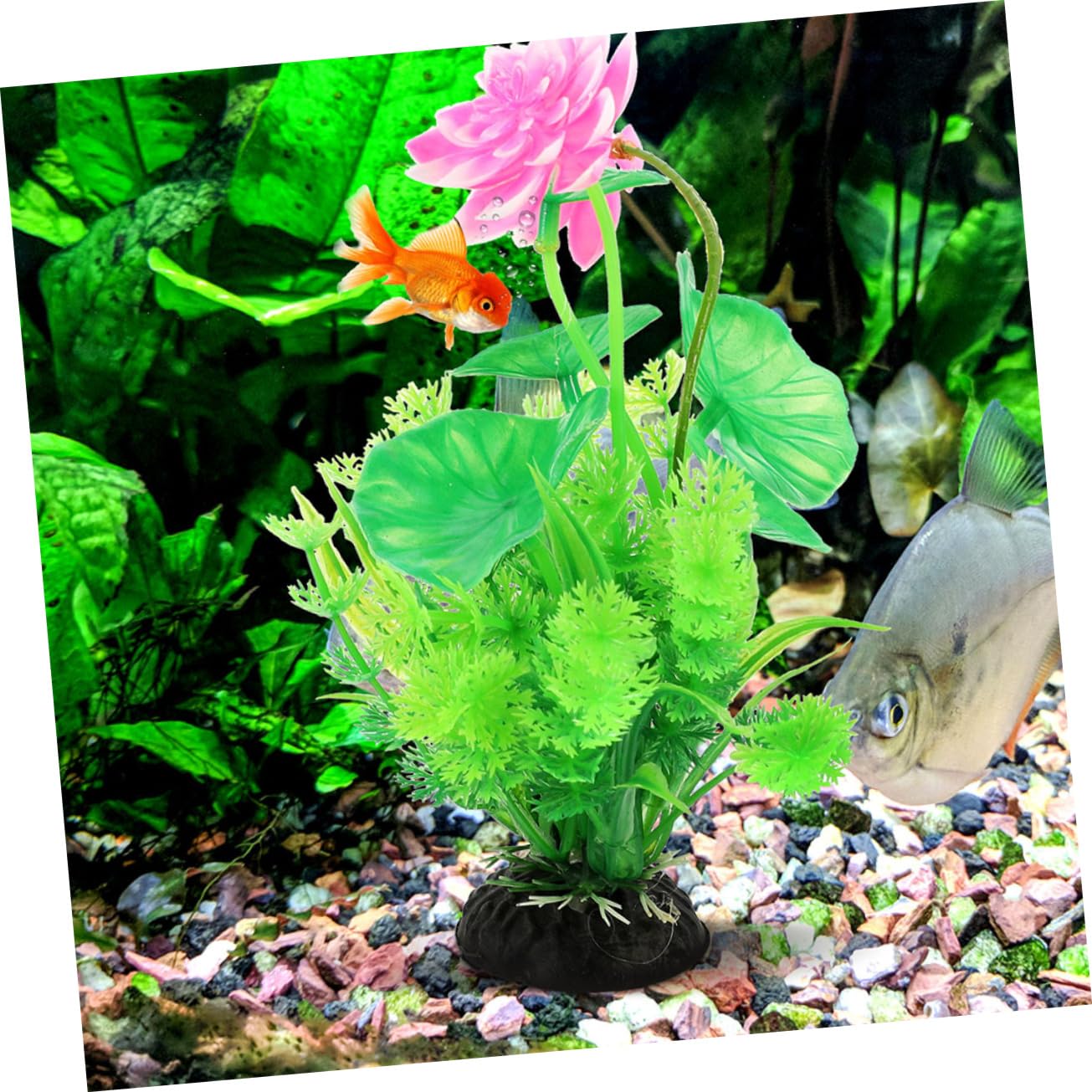 Happyyami 5 Juegos Paisajismo del Acuario Suministros para Peceras Picos De Riego Aire Artificial Plants Aqua Plant Accesorios para Peceras Decoraciones Planta De Pecera 2 Piezas * 5