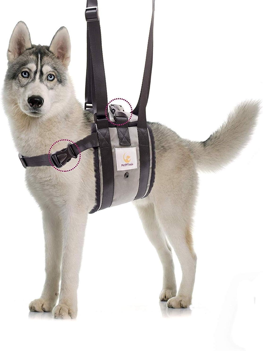 Veterinarian Approved Dog Support Harness + Hair Remover Glove - Dogs Sling Lift for Paralyzed Legs - Adjustable Straps - Mobility Rehabilitation for Injured Arthritis Elderly Disabled - XL breed