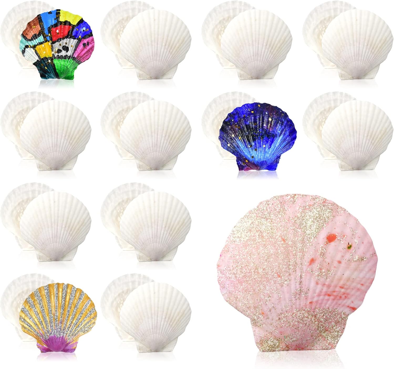 huianer 20 conchas de vieira blancas naturales de playa de mar para decoración del hogar, decoración de boda, pintura, relleno de jarrones y manualidades de bricolaje (7-8 cm)