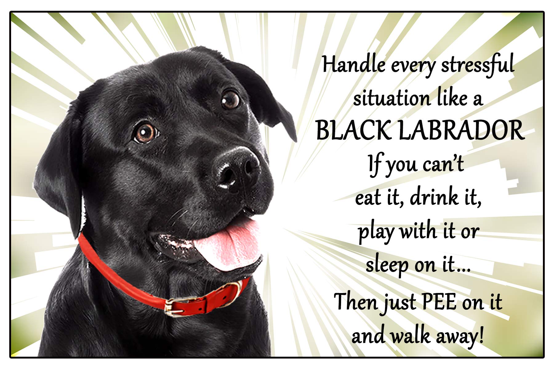 Labrador Black Lab Dog - Just Pee on it - Flexible 6" x 4" Magnet