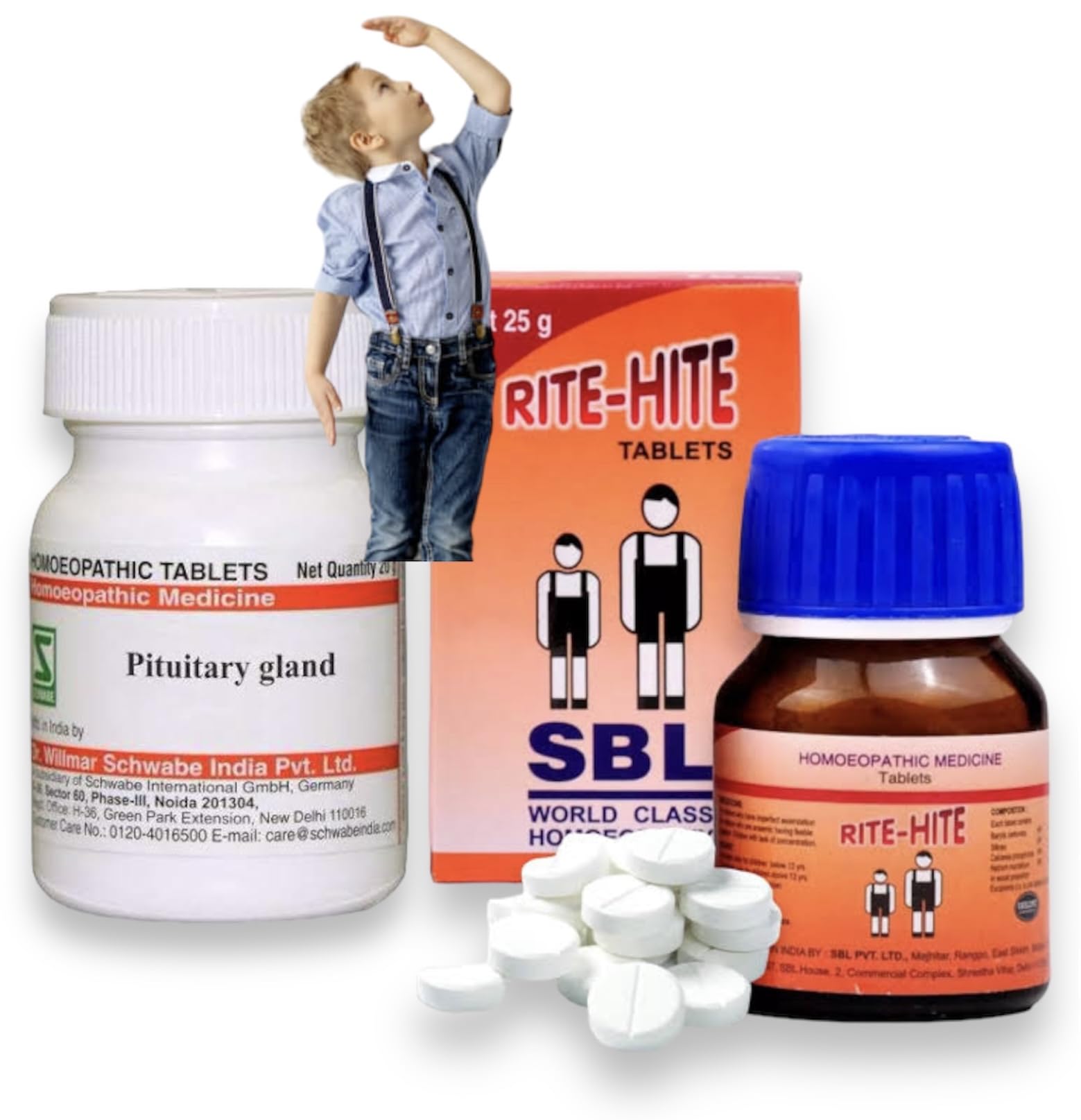 Willmar Schwabe Pituitary Gland 3X (20g) & Sbl Rite Hite Tablets Homeopathic - COMBO (B0CWDNL55L) Amazon Price History, Amazon Price Tracker