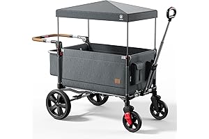Graco Quadra Stroller Wagon for Two Kids, Grey