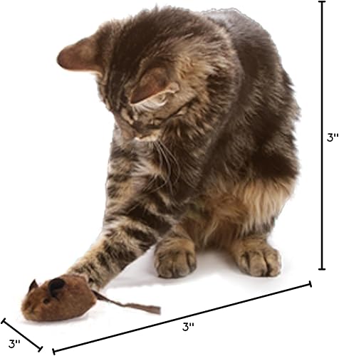 Miniatura 6 de OurPets Play-N-Squeak - Juguete de gato cazador de ratones (juguete interactivo para gatos y hierba gatera con ratón real, juguetes de hierba gatera