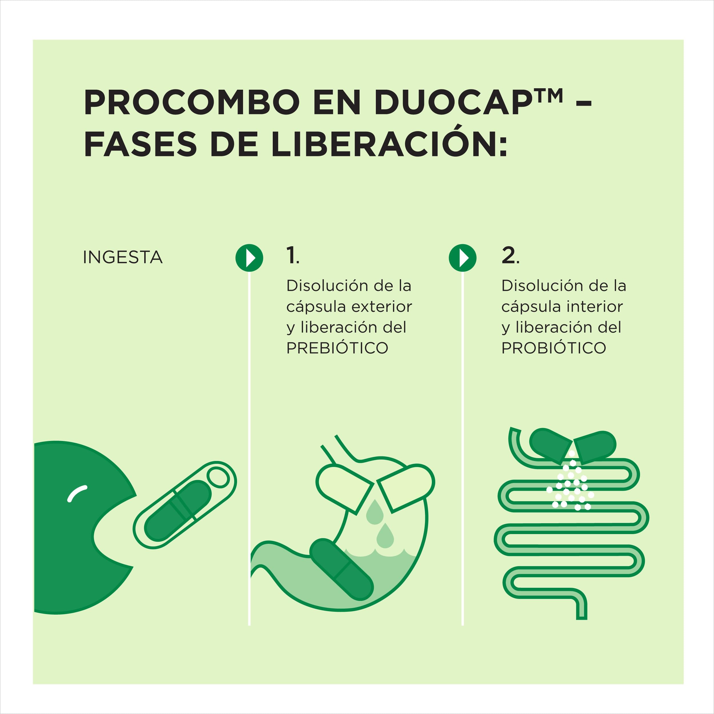 ProCombo Prebiótico y Probiótico para la Salud Intestinal 200 mil millones de UFC, 30 cápsulas (Pack de 3 unidades)