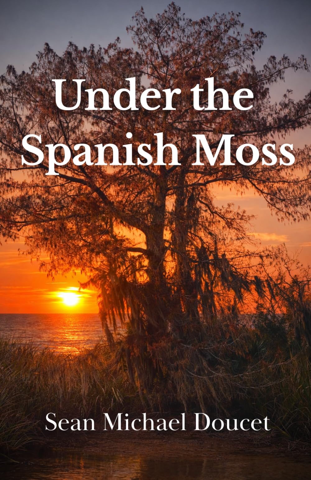 Under the Spanish Moss