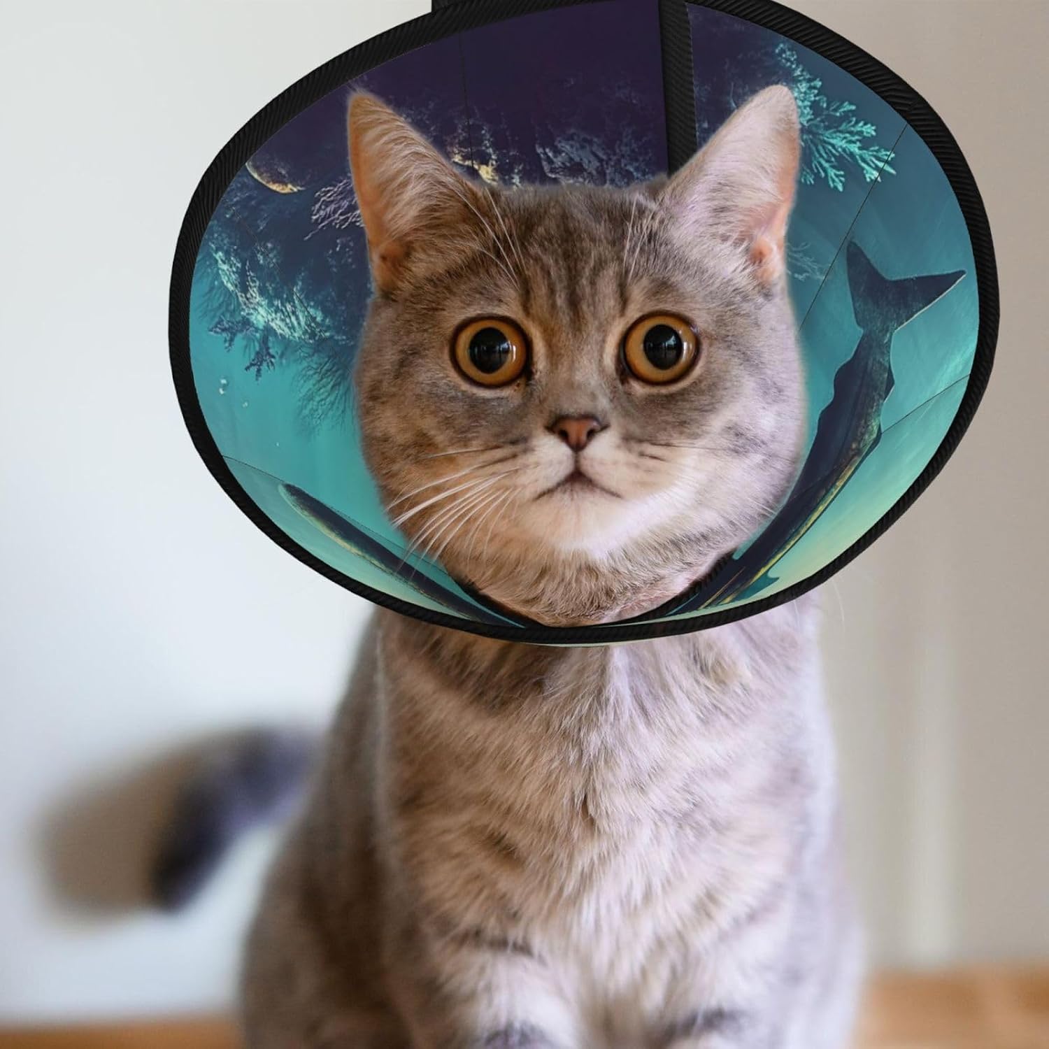 Custom Pet Cones - Unique Design Cat & Dog Cone, Collar for Post-Surgery Recovery, Adjustable Neck Underwater Environment Large