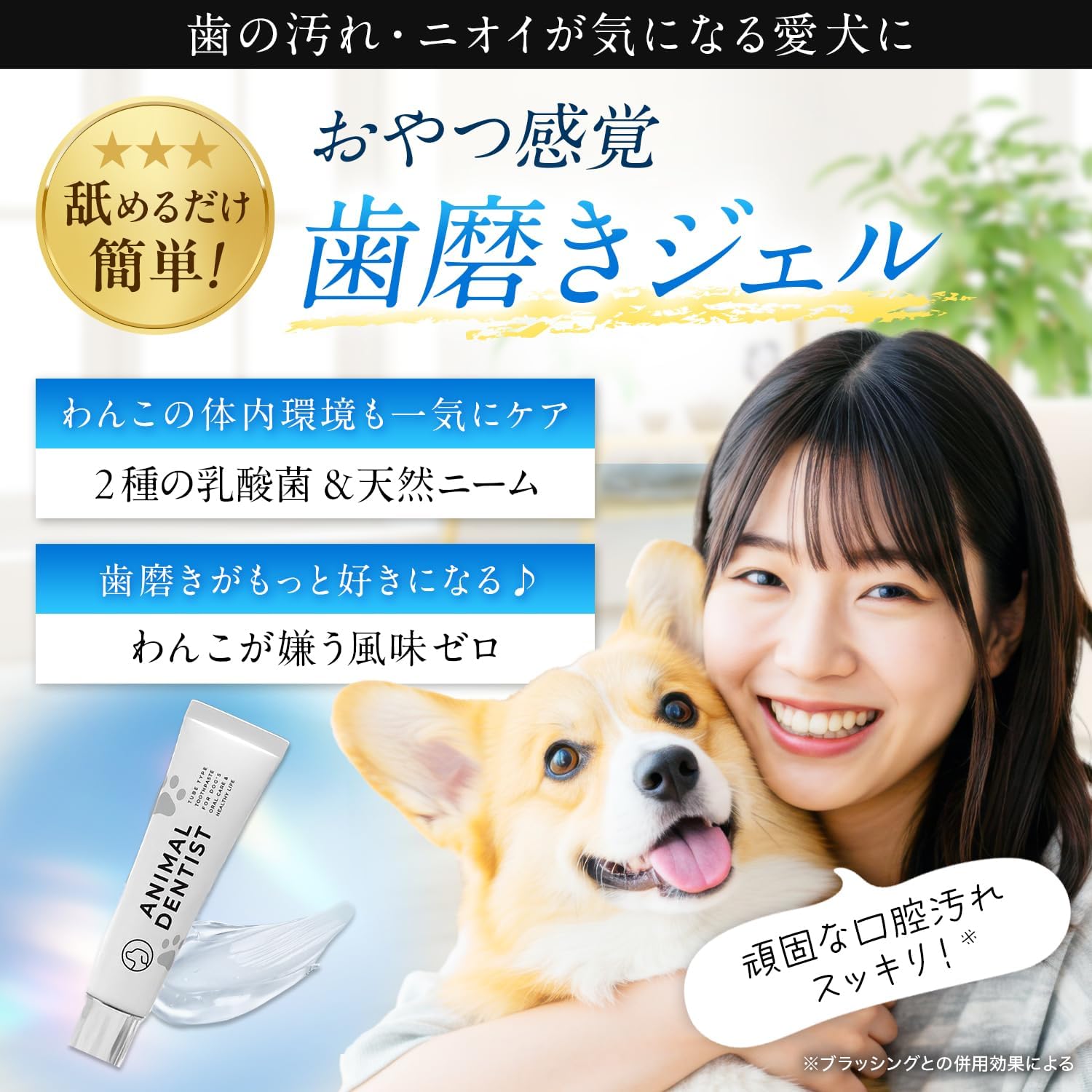 Amazon.co.jp: 【テレビで紹介されました】アニマルデンティスト