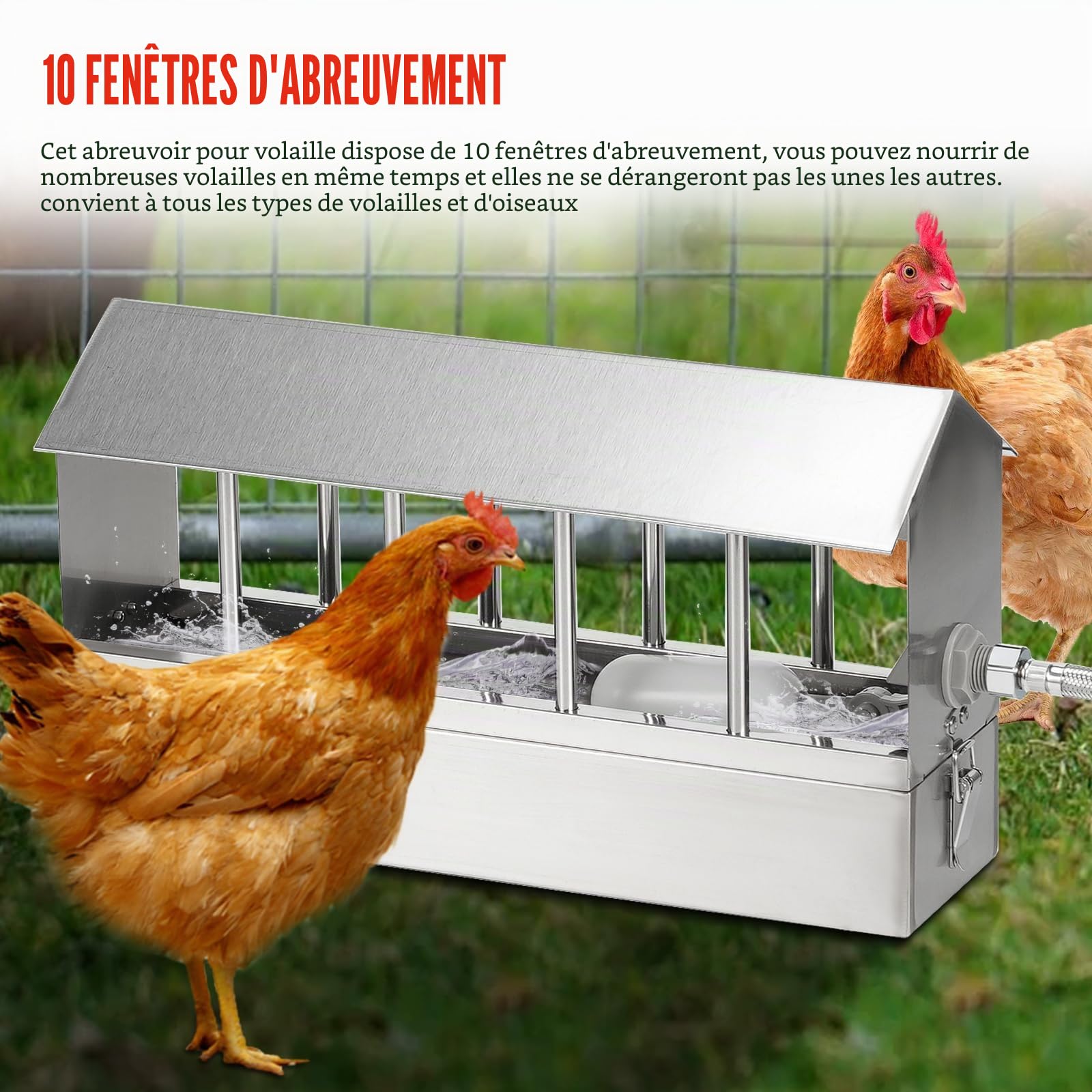 Abreuvoir Automatique pour Pigeon 2.6L Acier Inoxydable Volaille Automatique Abreuvoir Fontaine à Boire pour Pigeons avec Vanne à Flotteur de 1/2 Pouce et 80cm Tuyau Tressé