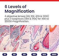 Vista 3 de AmScope Microscopio compuesto binocular LED para estudiantes y profesionales de la serie B120 - Aumento 40X-2500X - Incluye cámara USB 2.0 de 0.3MP