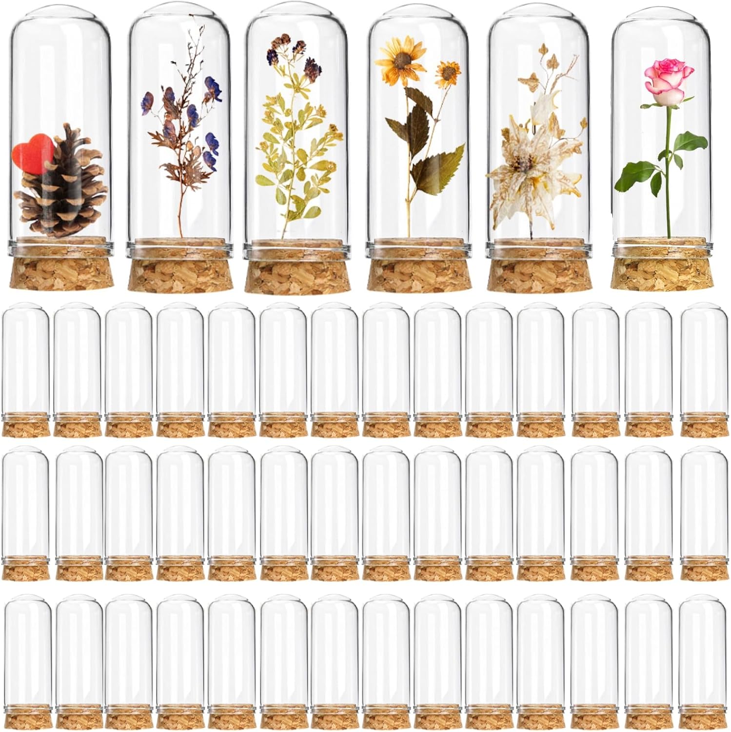 Mezchi 50 Pack 40ml Mini Glass Cloche Domes with Cork - 1.1x2.8 Inch Small Glass Bottles for DIY Crafts, Wedding Favors, Dried Flowers Display
