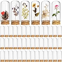 Mezchi 50 Pack 40ml Mini Glass Cloche Domes with Cork - 1.1x2.8 Inch Small Glass Bottles for DIY Crafts, Wedding Favors, Dried Flowers Display