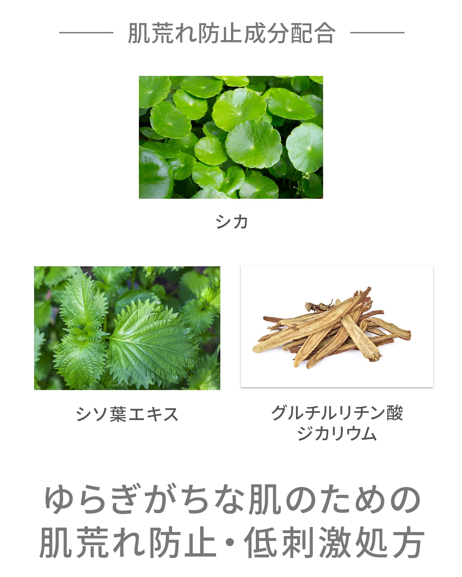 Amazon | VINTORTE ヴァントルテ モイストリフトローションセラム 化粧