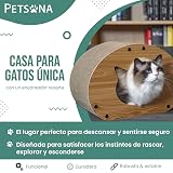 Ver la foto 2