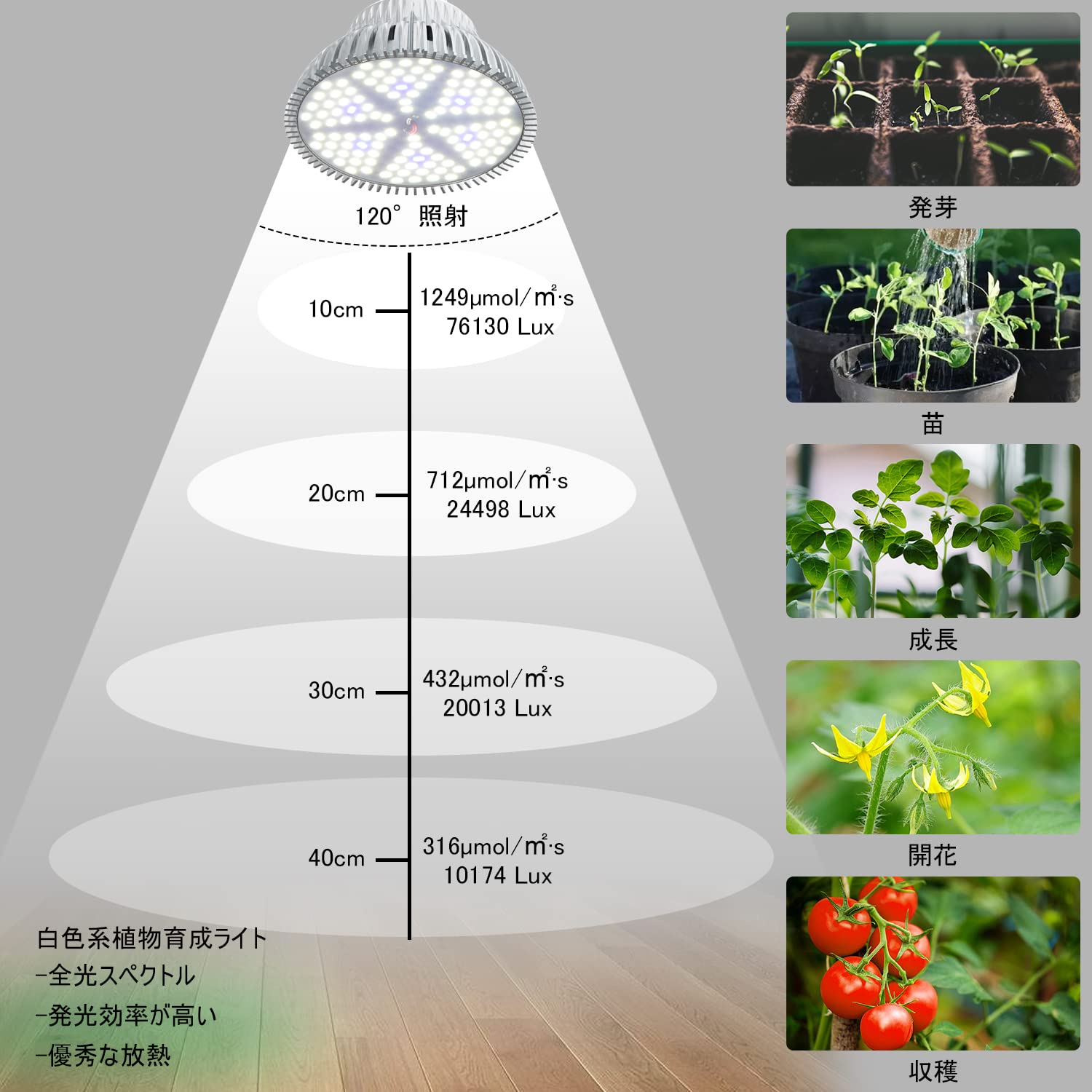 Amazon.co.jp: MORSEN LED植物育成ライト 植物育成ライト 植物
