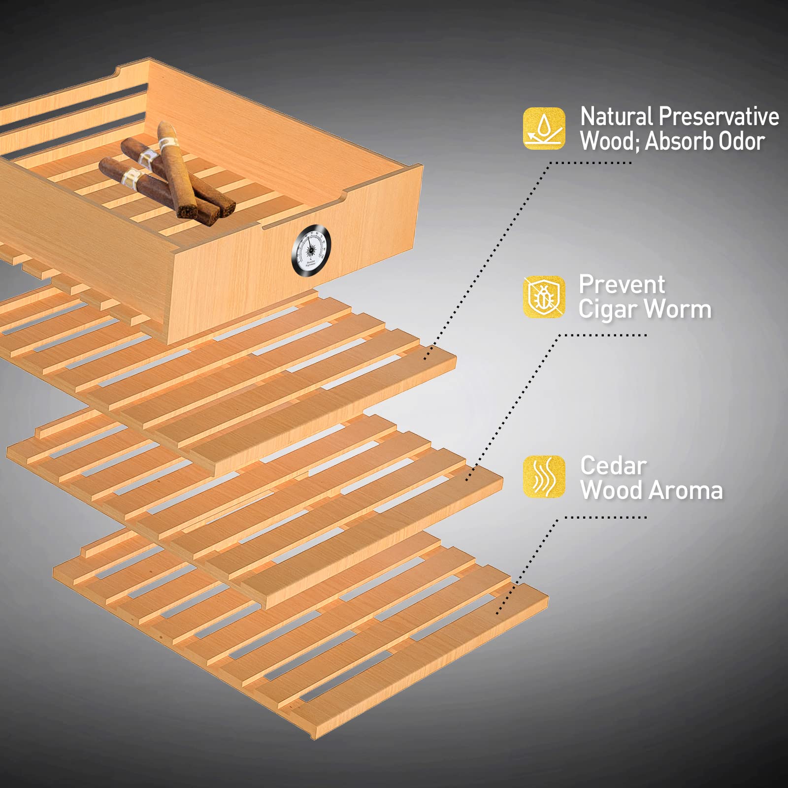 Buy NEEDONE 48L Cigar Humidor, Electronic Cigar Cooler Humidor,300