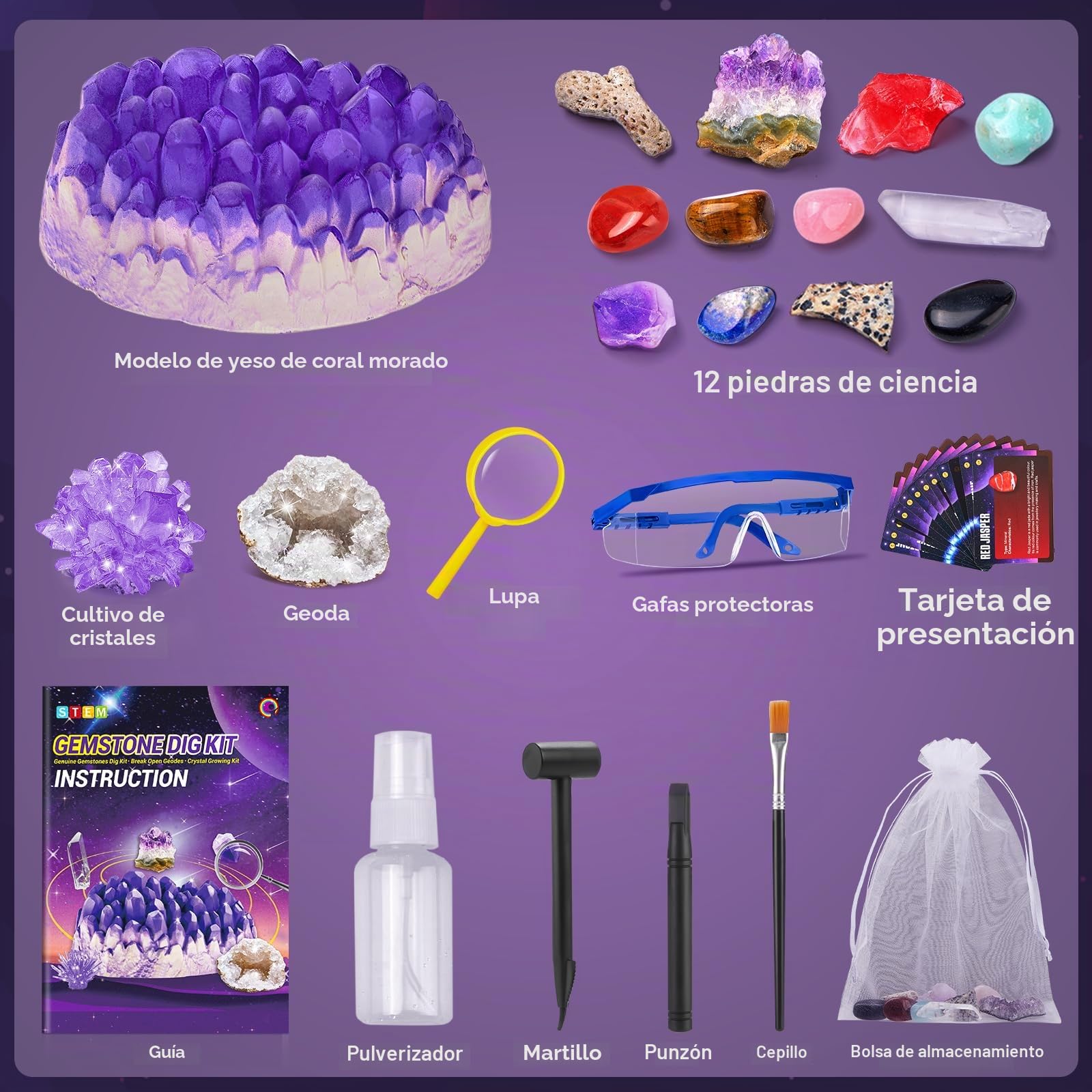 Kit de Excavación de Gemas y Minerales, Piedras y Cristales Naturales, Excava 12 Fósiles Prehistóricos Genuinos, Geoda, Regalo para Niños y Niñas 3-12 Años