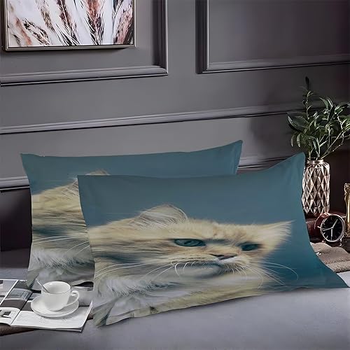 Miniatura 2 de Cute Duvet Cover Full Cat Print Bedding Sets Full Soft Microfiber Comforter Cover and 2 Pillow Shams 20"X26", Bed Set Duvet Covers with Zipper for