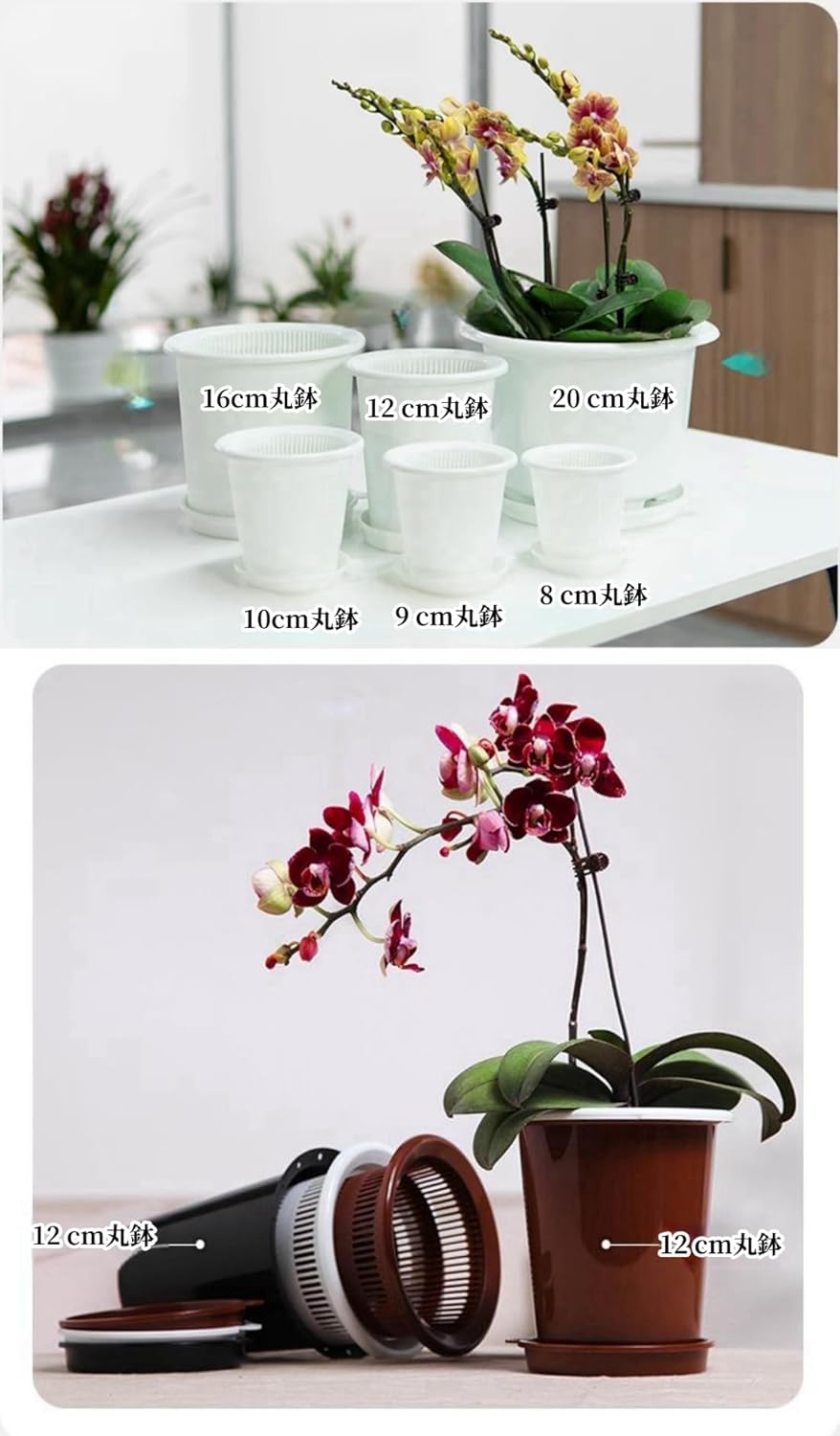 ロサンゼルスドジャース木田優夫サイン入りキャップ90年代 2020年の