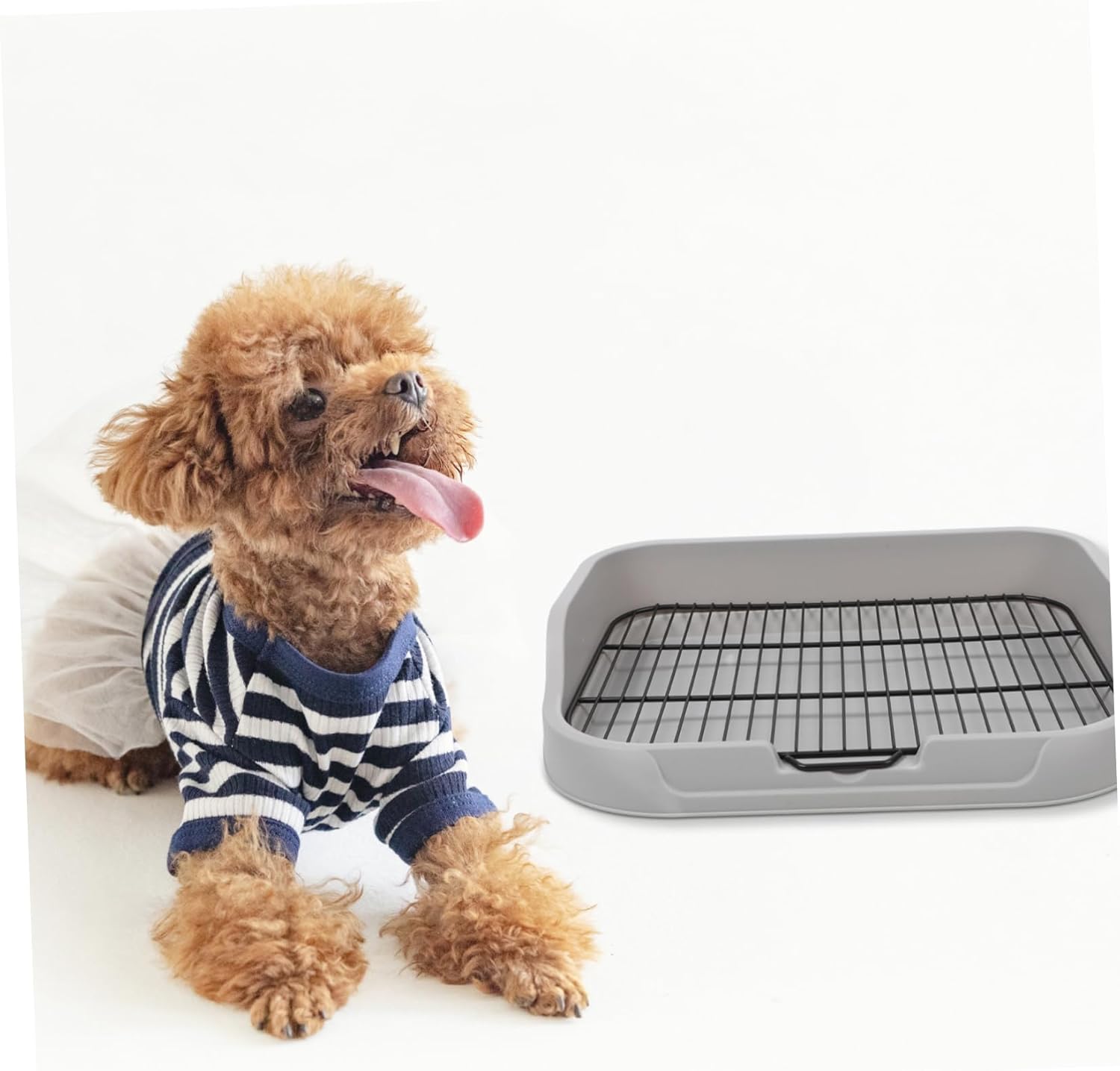 BESPORTBLE Dog Potty Tray for Small Medium Large Dogs Slip Mesh Base Puppy Training Potty for Other Breeds