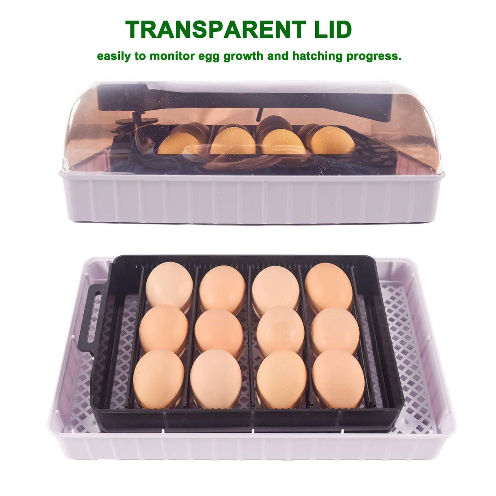 Incubadora automática de huevos para 12 huevos, incubadora digital con giro de huevos para incubar pollos, patos, gansos, codornices y otros pájaros