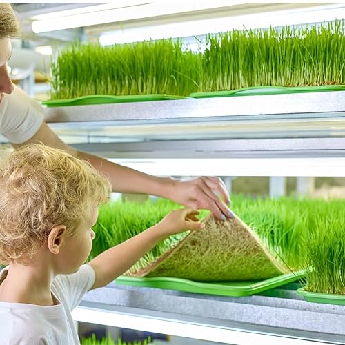 Miniatura 8 de ANPHSIN Alfombrilla de cultivo de yute para microverdes, almohadillas hidropónicas de cultivo de fibra de cáñamo para bandejas de germinación