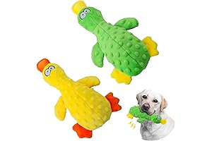 Dog Squeaky Toy Duck - 2 Packs