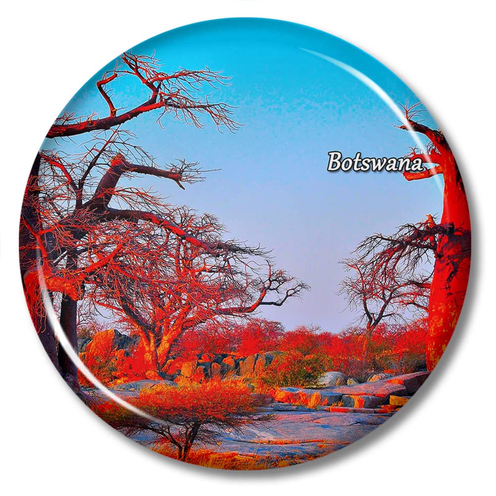 Magnete da frigorifero Tahiti Moorea Bora Bora Polinesia Francese souvenir da viaggio decorazione per frigorifero in resina dipinta a mano