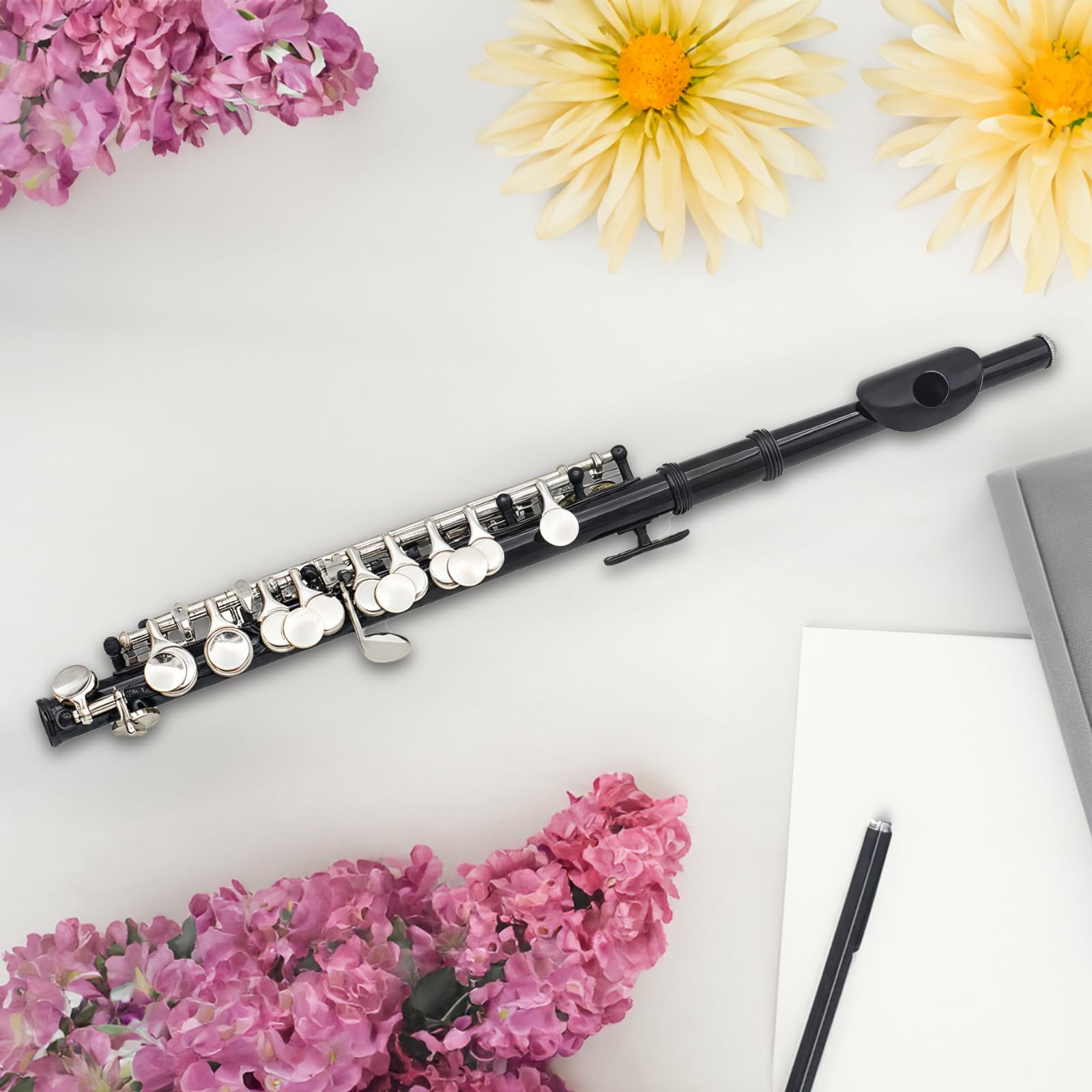 Piccolo con 16 fori in chiave E C Tuning, perfetto per principianti e studenti, include custodia e accessori per lezioni di musica e spettacoli