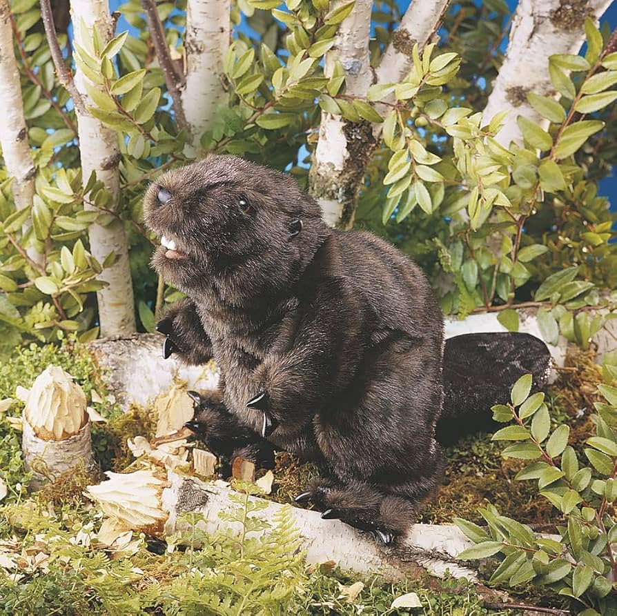 Amazon.co.jp: ビーバー ハンドパペット : おもちゃ