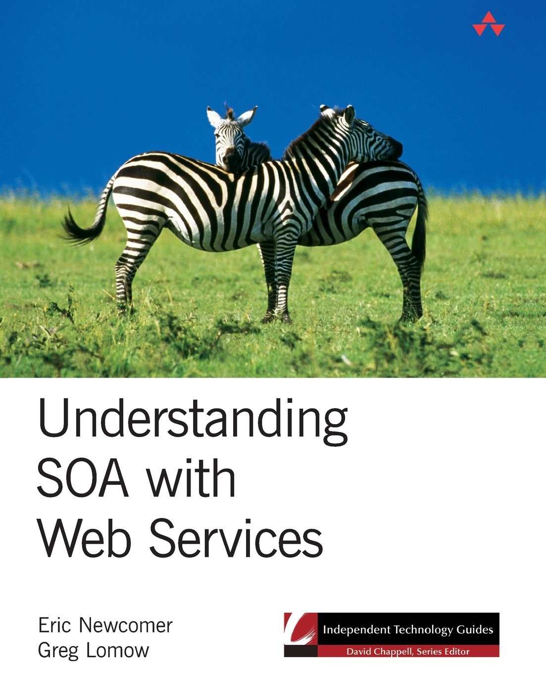 Understanding SOA with Web Services (Independent Technology Guides)