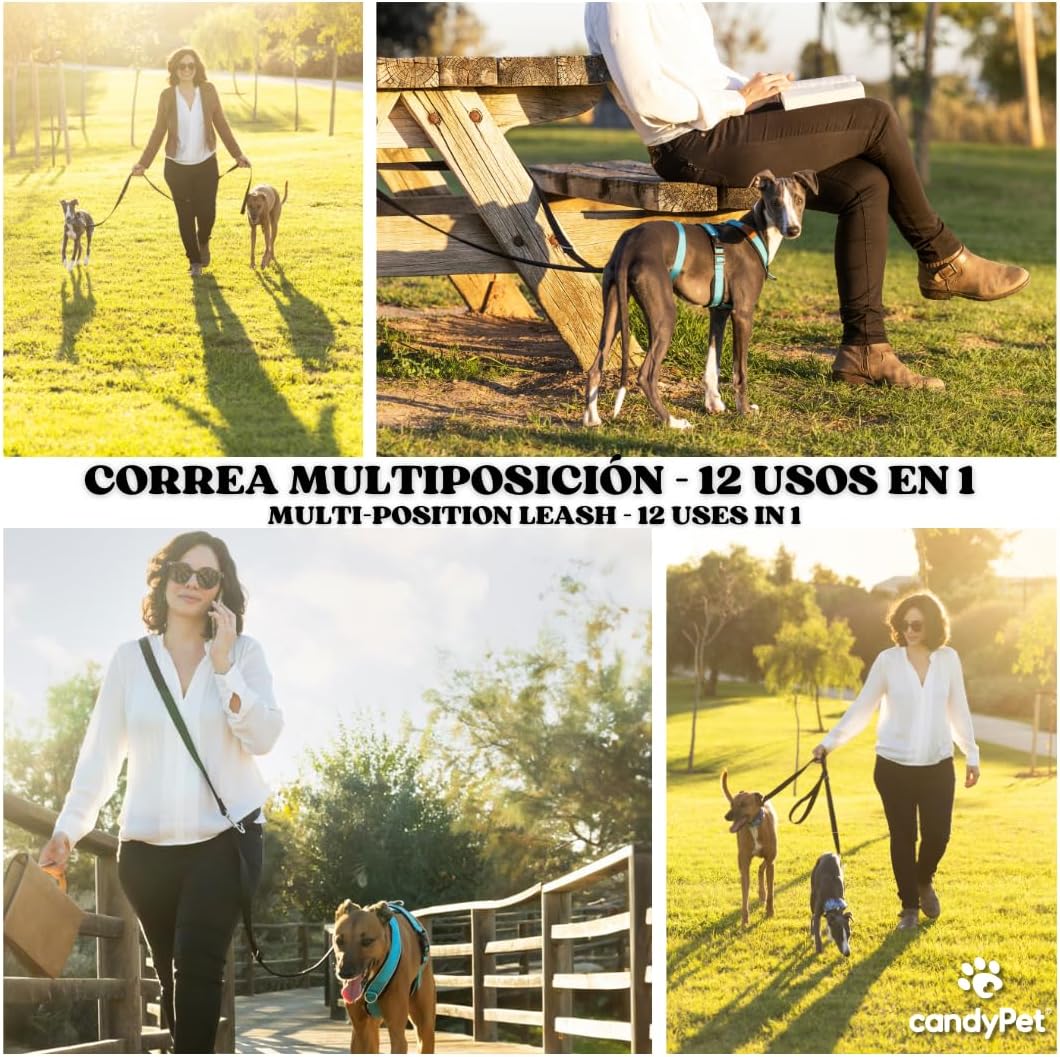 Hands-Free Multi-Position Dog Leash – 12-in-1, Adjustable to 7 Lengths, Neoprene Padded, 240cm/95in – Ideal for Training, Running, Walking – Double Leash for All Dog Sizes​