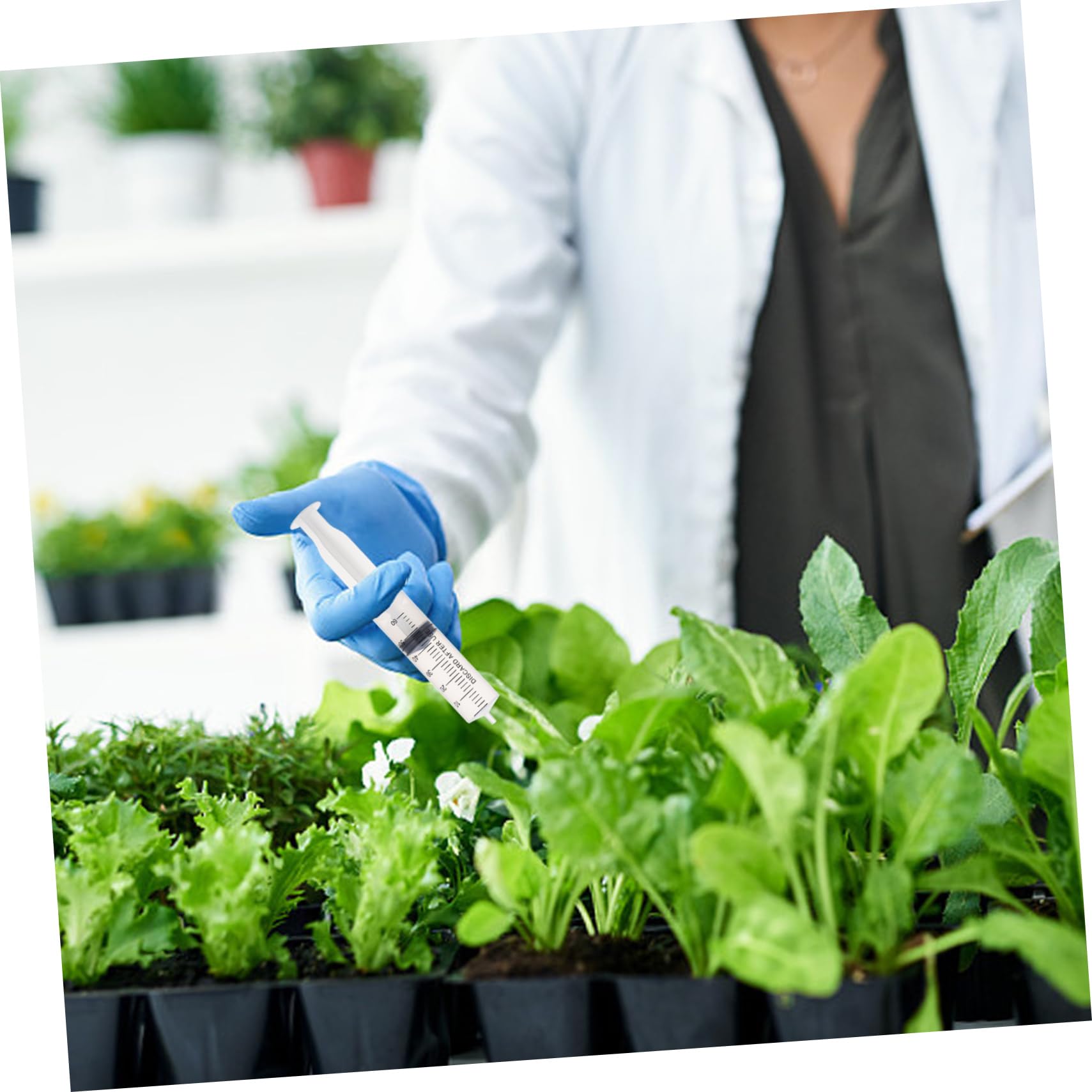 30piezas Tubo De De Condimento Sin Dosificadora De Líquidos Para Organizar Recipientes y Ingredientes Para Cocina y Laboratorio Unidades
