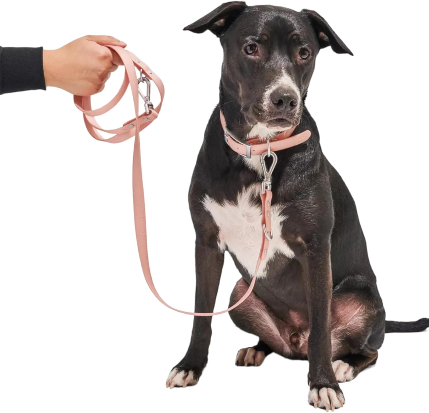 Wild One Dog Adjustable Length Leash Waterproof Odor Resistant (Standard, Pink)