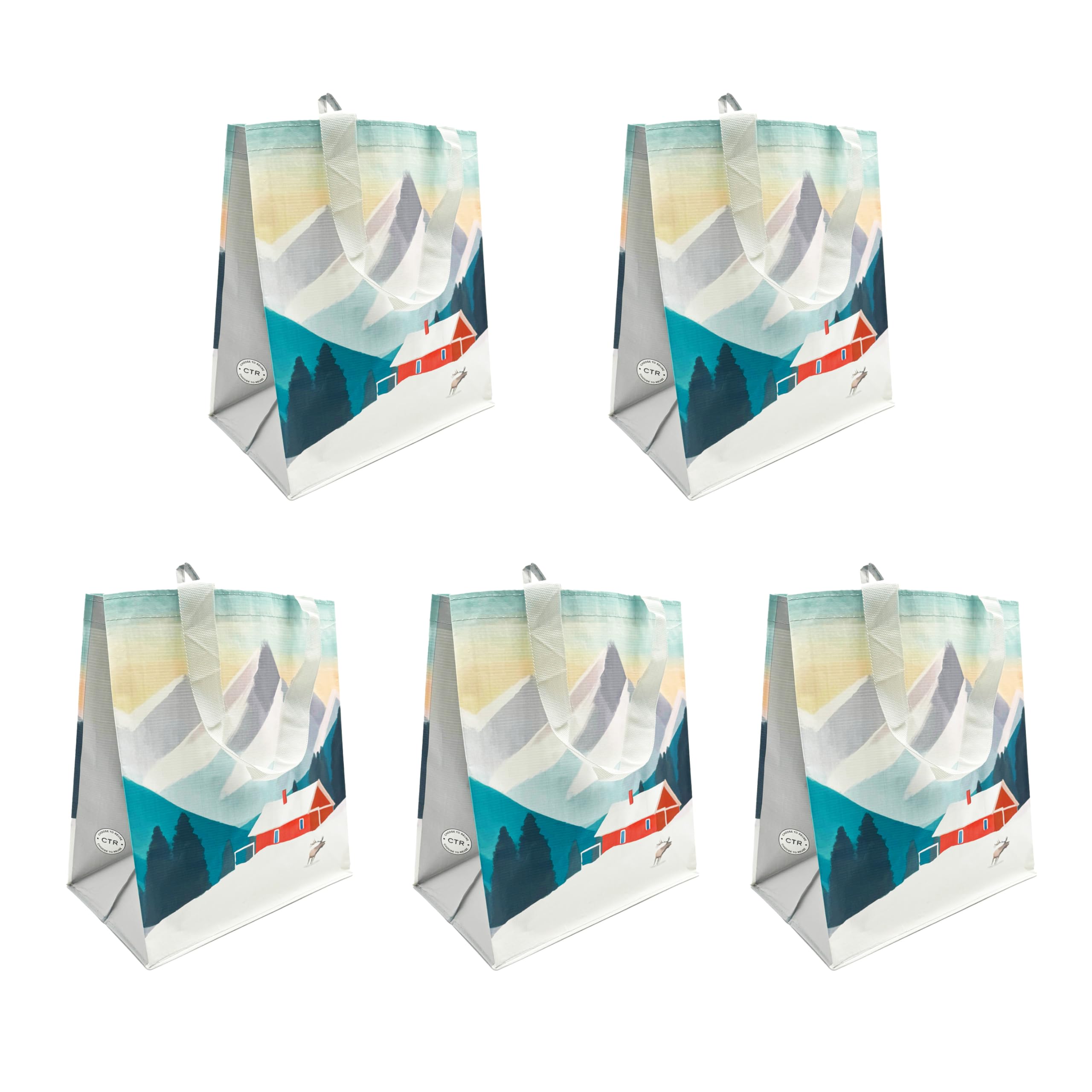 Earthwise Reusable Shopping Bags Extremely Durable Multi Use Large Stylish Fun Foldable Water-Resistant Totes