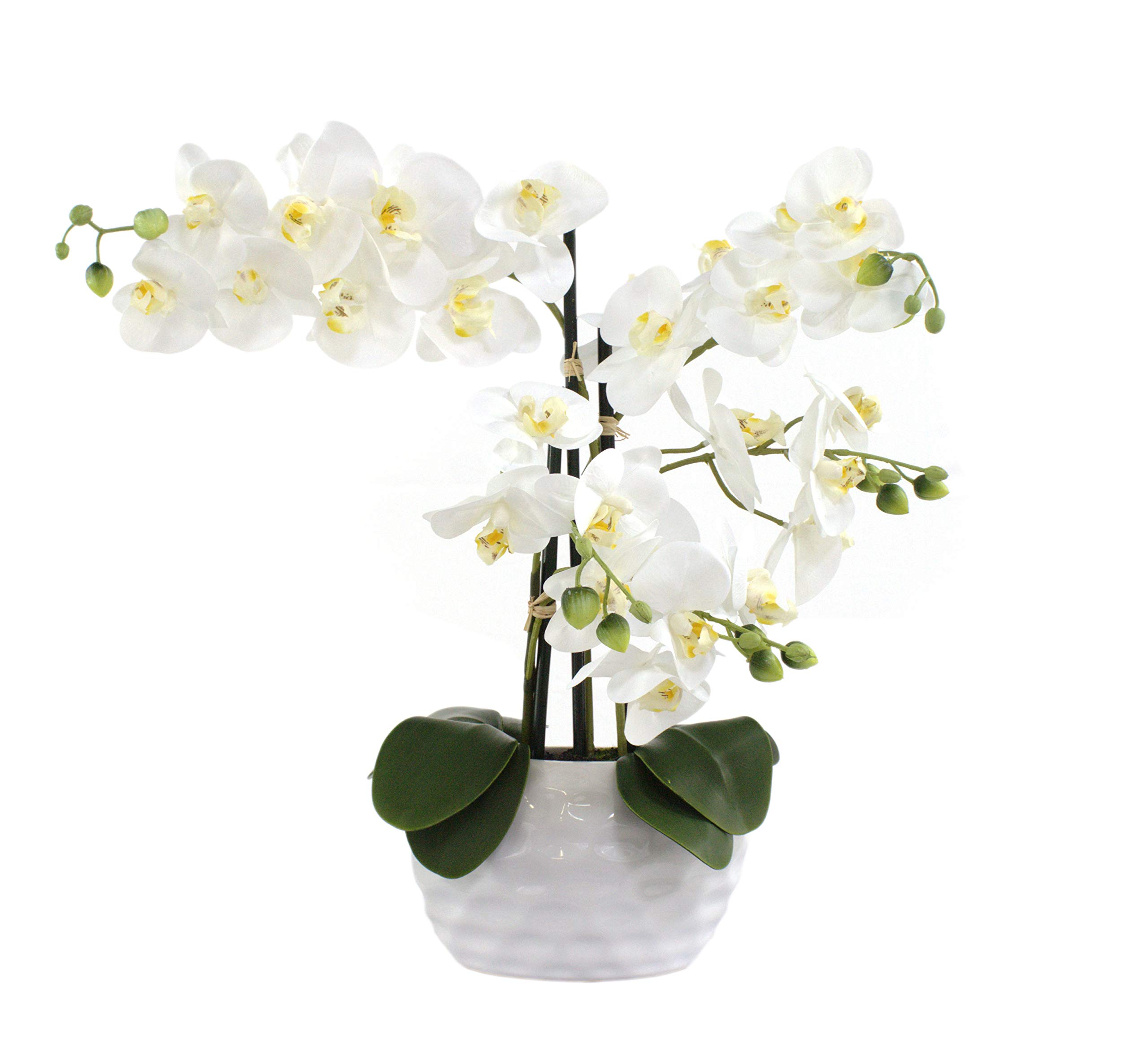 Kunstpflanze Orchidee XL mit Keramiktopf - ca. 53cm hoch (Blüten weiß - Topf weiß)