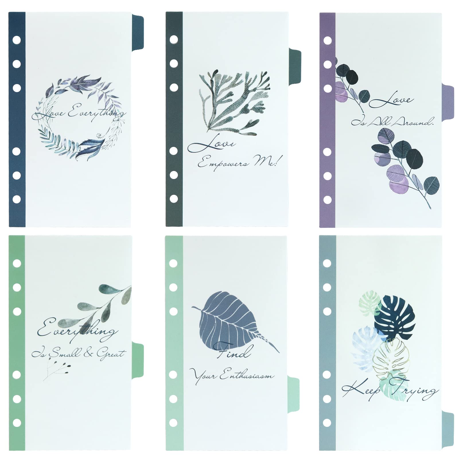 10 Intercalaires Plastique Transparents A6 - 6 Trous - Motifs Fleurs Et Oiseaux