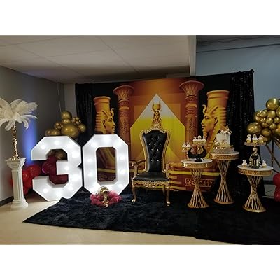 BELECO 10x8ft Fabric Egyptian Backdrop Ancient Egyptian Writing Pharaoh Hieroglyphics Egypt Photography Backdrop Wall Mural Ancient Egypt Theme Party Decorations Portrait Photoshoot Background Props - View #4