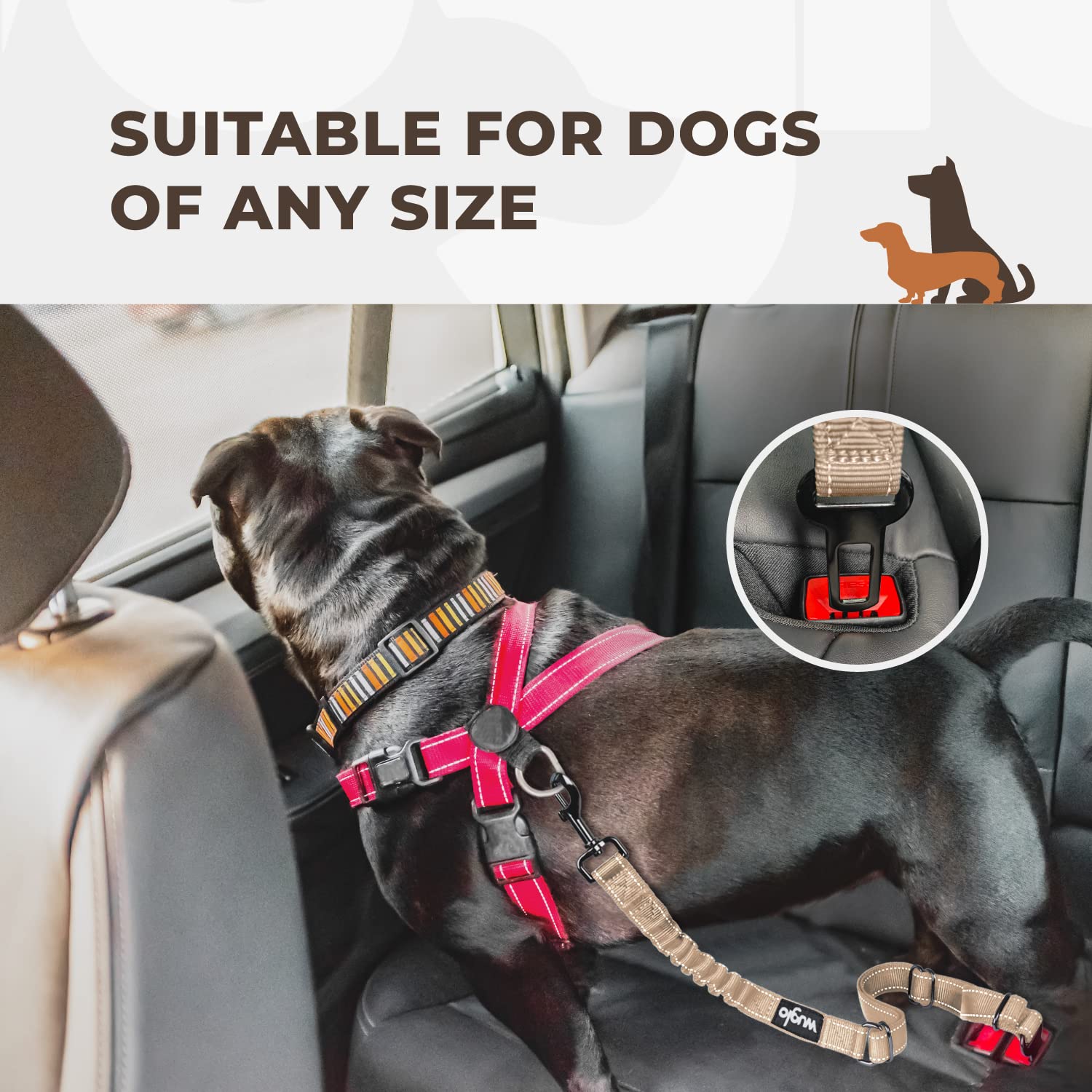 Ceinture De Sécurité Réglable Pour Chien En Voiture - Longueur 45-70cm, Conforme Aux Normes Européennes
