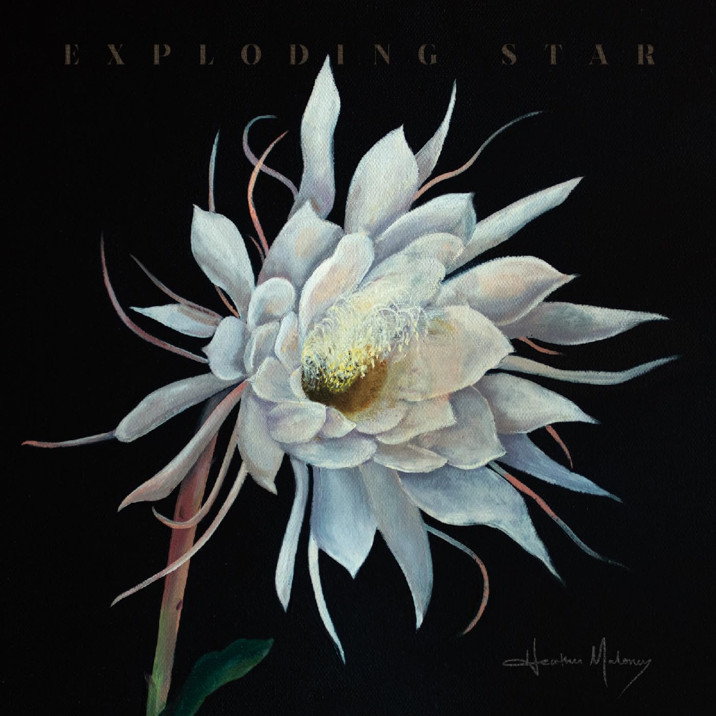 Exploding Star [VINYL]