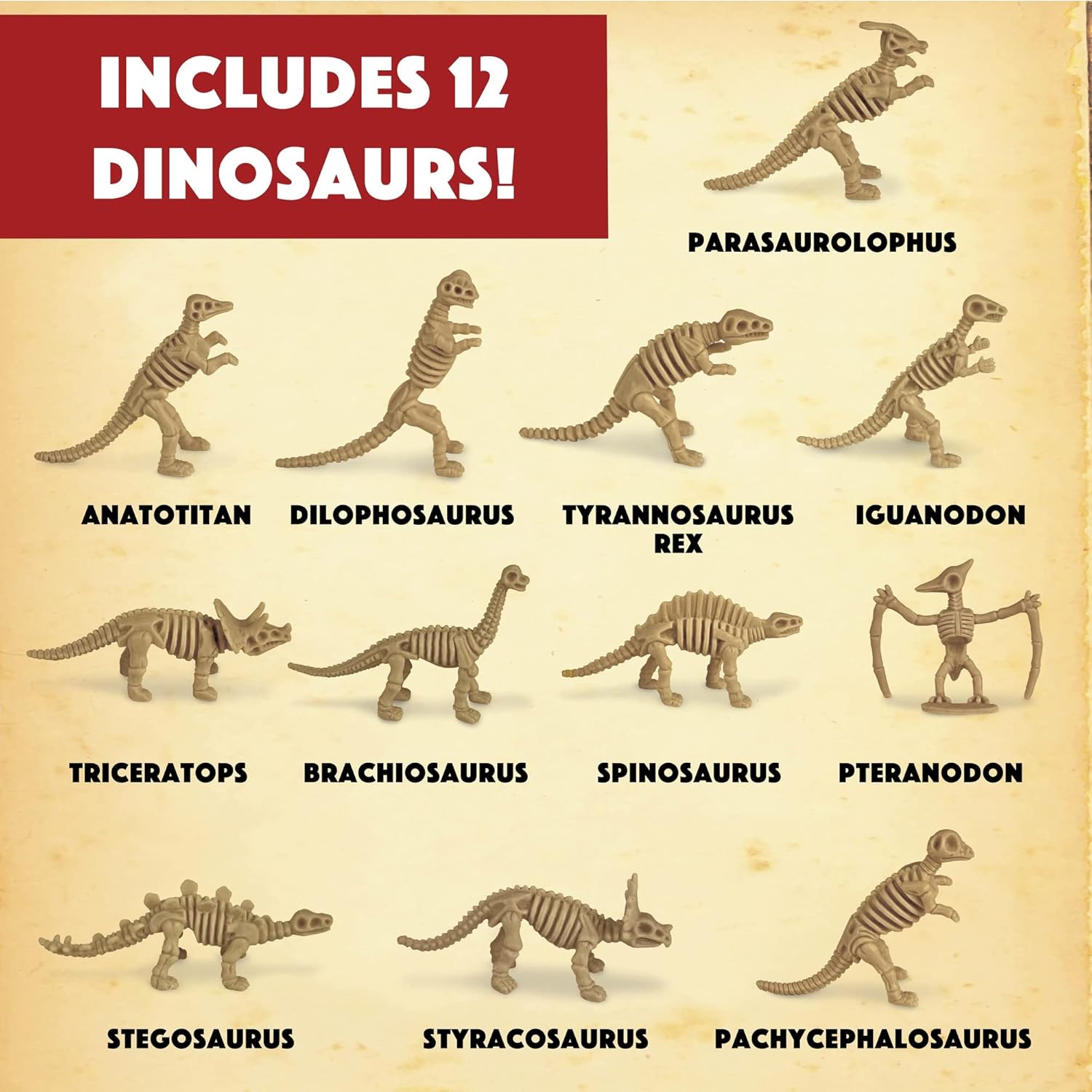 MindWare Dig It Up! Dinosaur Skeleton Eggs Excavation kit - Comes with 12 Clay Eggs, 12 Chisel Tools and 12 Instruction Sheets
