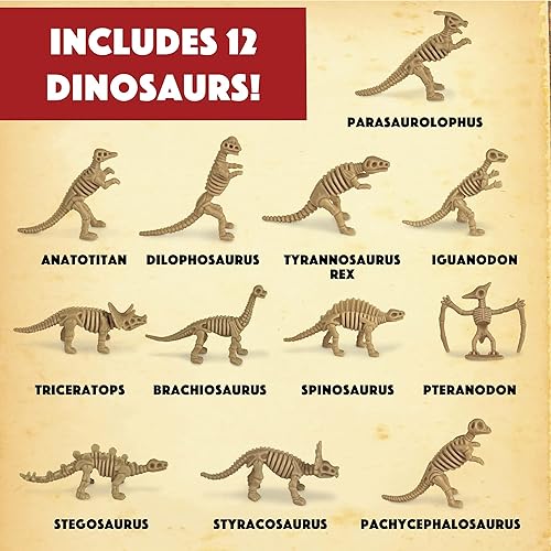 Miniatura 6 de MindWare Dig It Up!