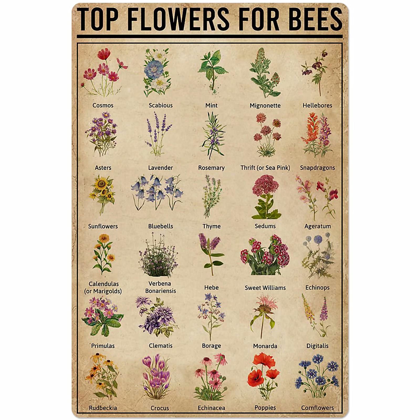 Tfzqm Style 11 Plant Knowledge Metal Tin Sign Top Flowers For Bees Chart Poster Farm Garden Flower Shop Club Wall Decoration Plaque 8X12 Inches
