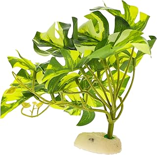 Tanque De Peixes Plantas Aquáticas Plantas De Répteis Terrários De Vidro Para Plantas Ornamento De Paisagismo De Aquário De Vegetação Réptil Planta Artificial Acessórios De Tanque