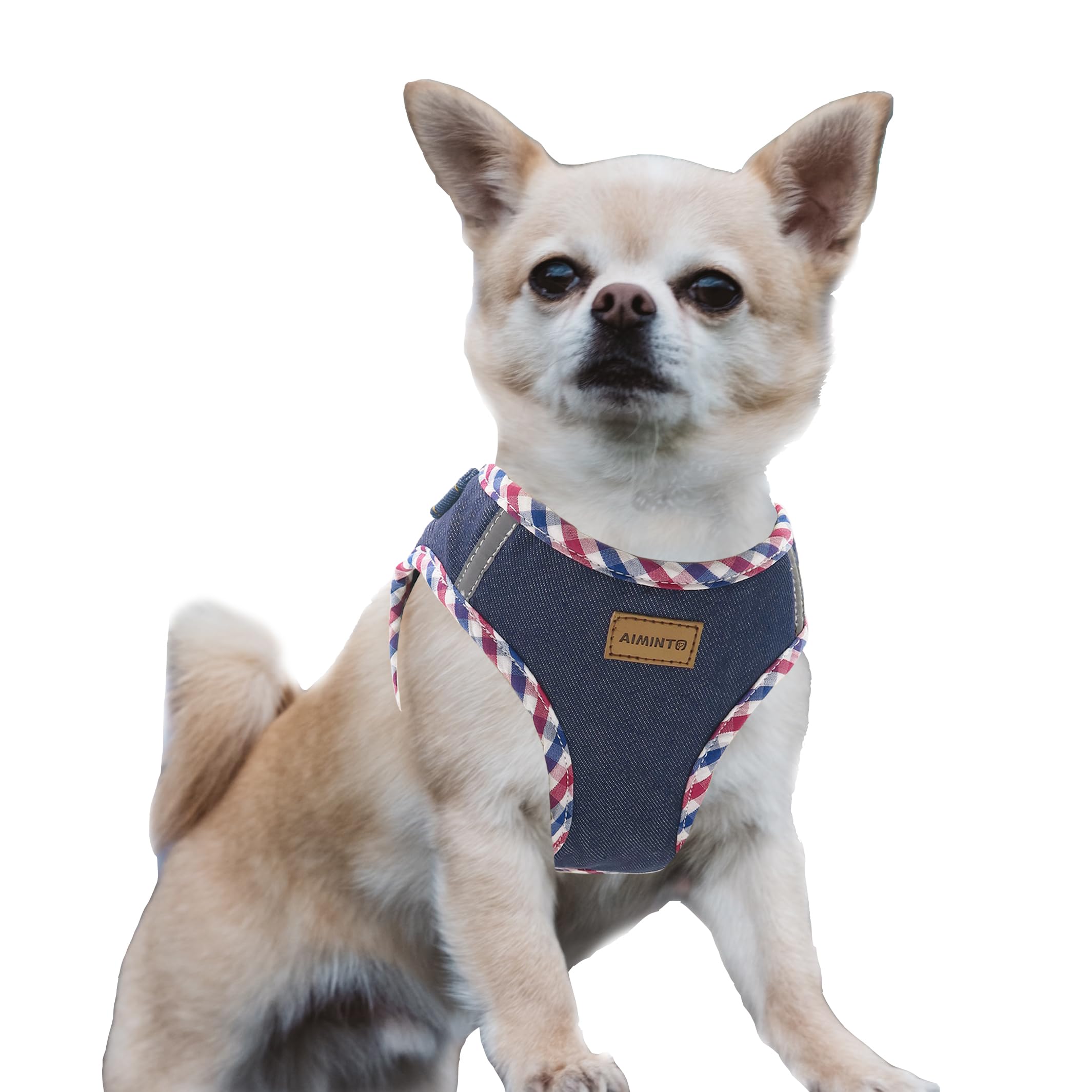 Amazon | Aiminto デニム犬用ハーネス、通気性の高いメッシュ素材