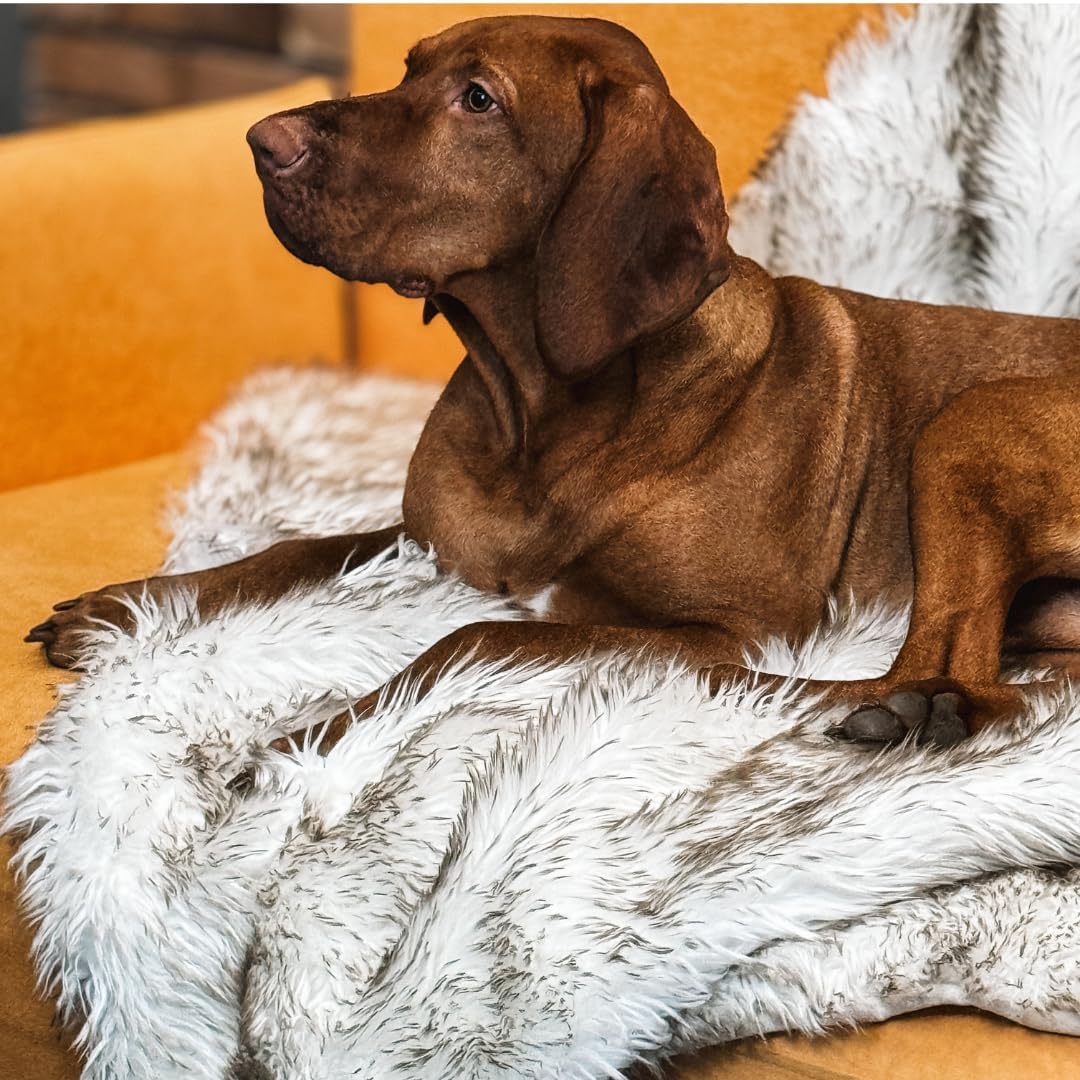 Waterproof Dog Blanket for Small, Medium & Large Dogs – Faux Fur Pet Throw for Couch, Sofa, Bed & Car – Soft, Washable, Stain-Resistant, Durable Cover – White w/Brown Tips – 80" x 60" - Image 7