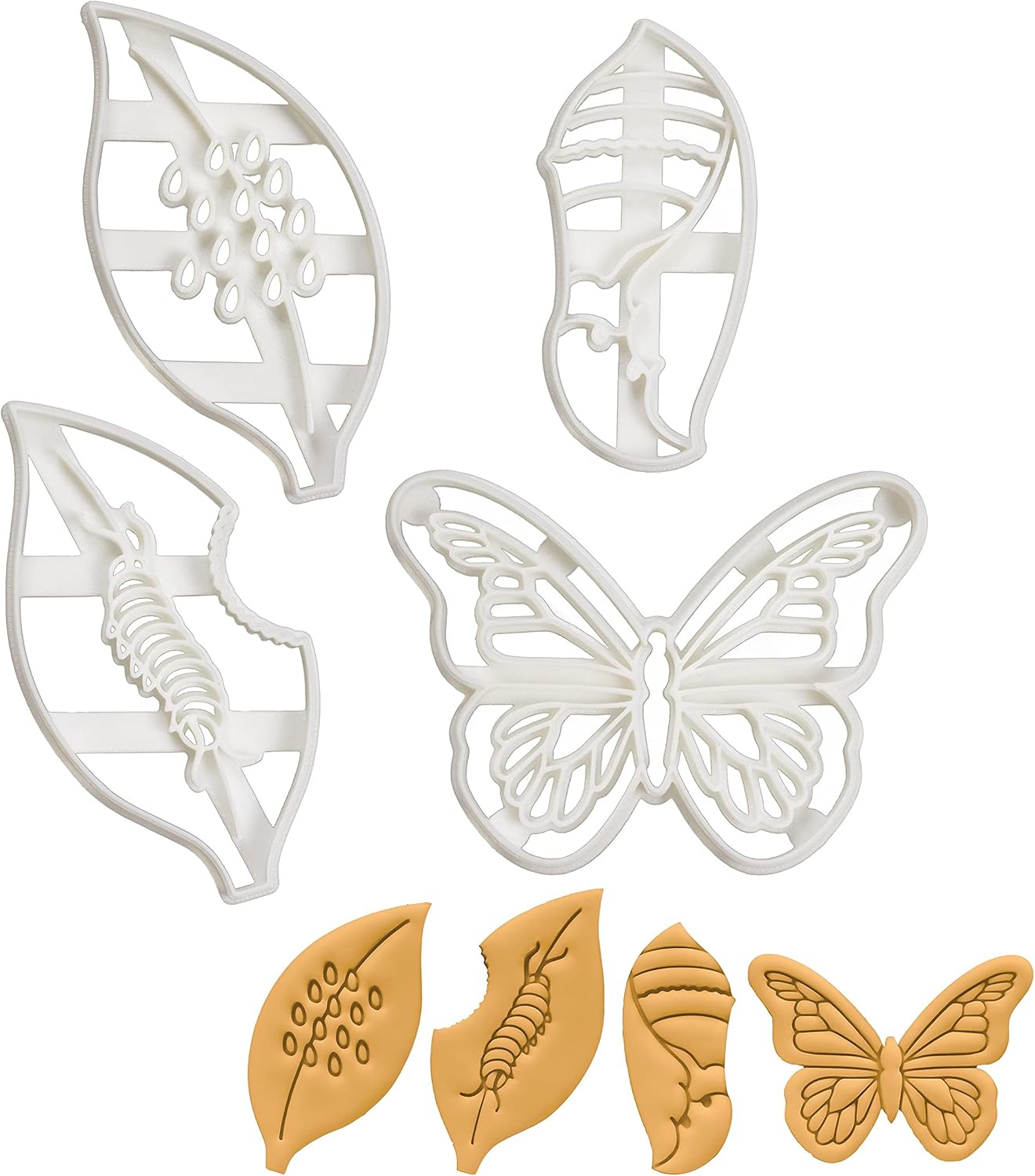 Set of 4 Monarch Butterfly Life Cycle Stages (Designs: Eggs, Caterpillar, Chrysalis, and Butterfly), 4 pieces - Bakerlogy