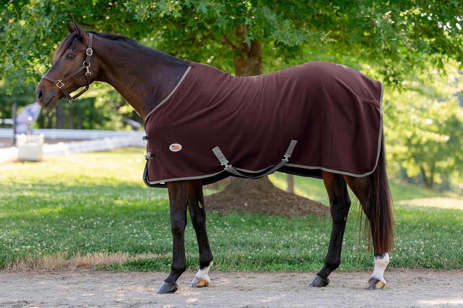 Miller's Standard Neck Fleece Cooler for Horses