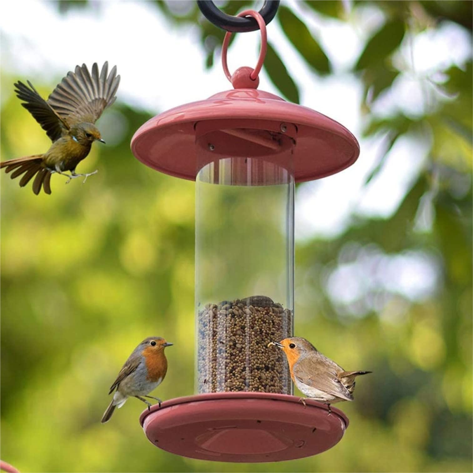 Comedero Pajaros Exterior Alimentador De Pájaros De Metal, Comedero Colgante De Semillas De Pájaros para Mascotas con Techo Y Bandeja para Exteriores Comederos para Pajaros
