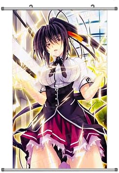 A Wide Variety of High School Highschool DxD Anime Characters Anime Wall Scroll Hanging Decor Himejima Akeno 1