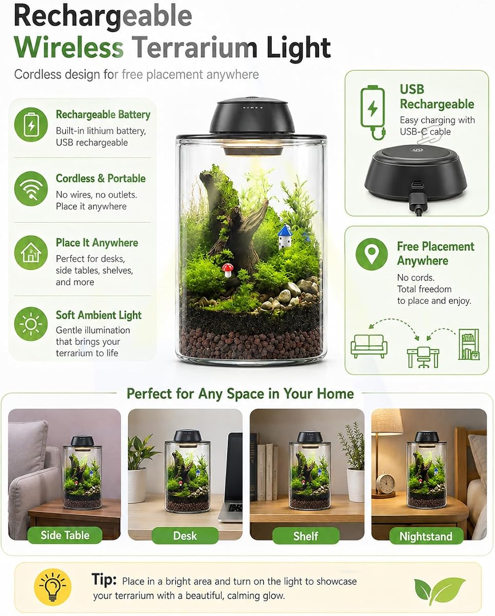 Plant Terrarium Kit with Rechargeable Grow Light view 3